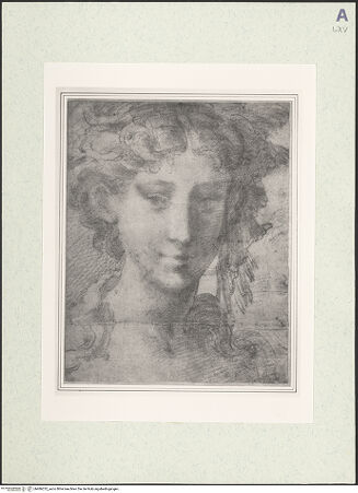 Vorderseite von bh486232_recto