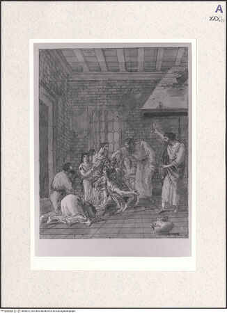 Vorderseite von bh486312_recto