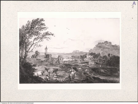 Vorderseite von bh486314_recto