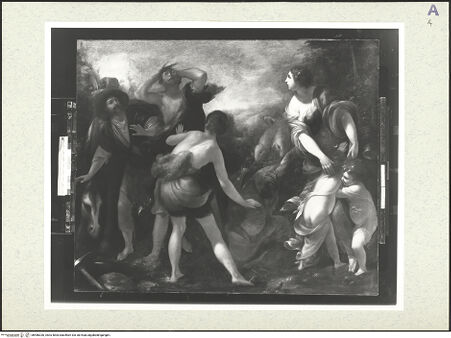 Vorderseite von bh486326_recto