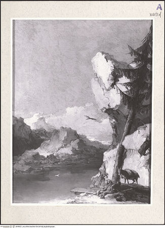 Vorderseite von bh486521_recto