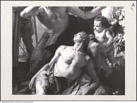 Vorderseite von bh486531_recto