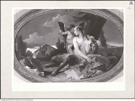 Vorderseite von bh486535_recto