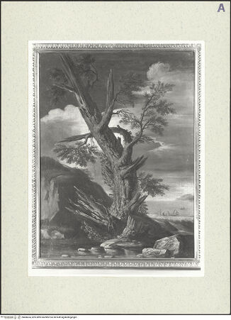 Vorderseite von bh486654_recto