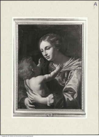 Vorderseite von bh486664_recto