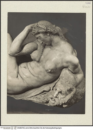 Vorderseite von bh486705_recto