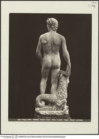 Vorderseite von bh486718_recto