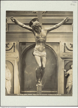 Vorderseite von bh486719_recto