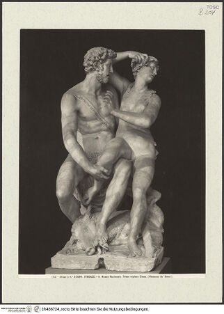 Vorderseite von bh486724_recto