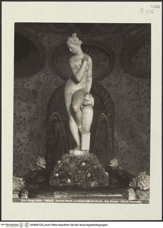 Vorderseite von bh486725_recto