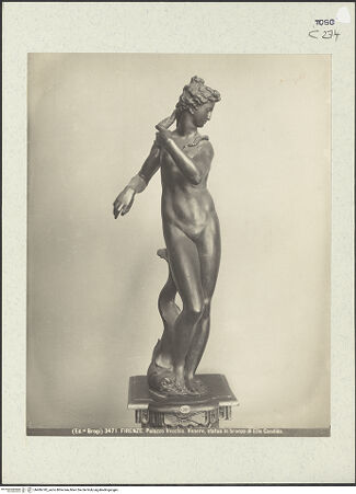 Vorderseite von bh486742_recto