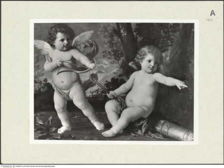 Vorderseite von bh486875_recto