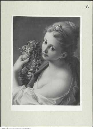 Vorderseite von bh486894_recto