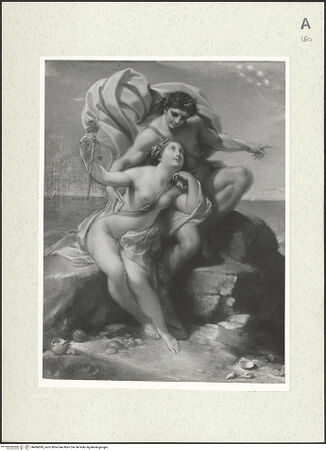 Vorderseite von bh486899_recto