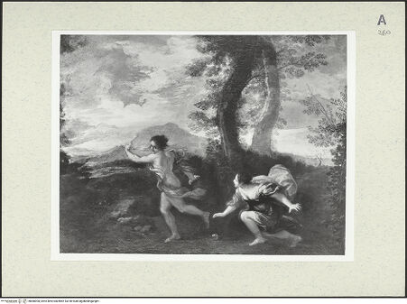 Vorderseite von bh486900_recto