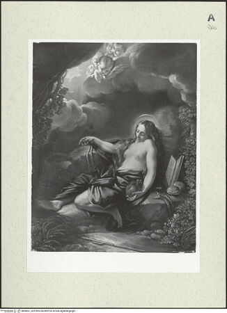 Vorderseite von bh486901_recto