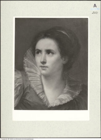 Vorderseite von bh486953_recto