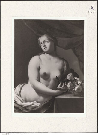 Vorderseite von bh487090_recto