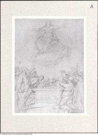 Vorderseite von bh487101_recto