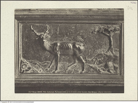 Vorderseite von bh487134_recto