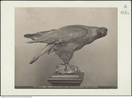 Vorderseite von bh487289_recto