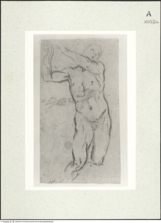 Vorderseite von bh487342_recto