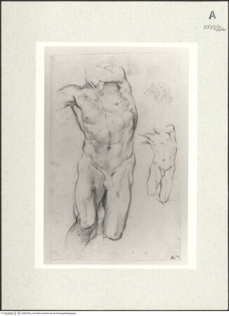 Vorderseite von bh487345_recto