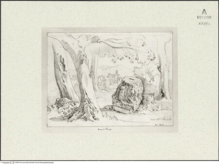 Vorderseite von bh487376_recto