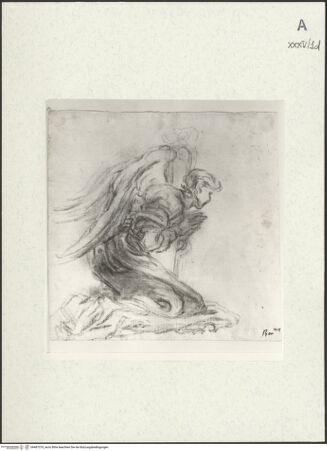 Vorderseite von bh487379_recto