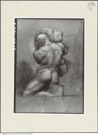 Vorderseite von bh487396_recto