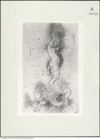 Vorderseite von bh487399_recto