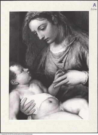 Vorderseite von bh487430_recto