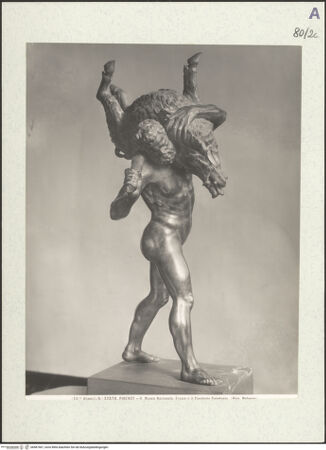 Vorderseite von bh487467_recto