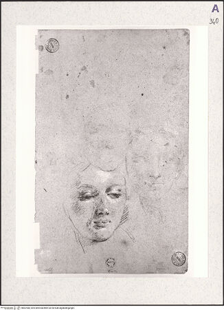 Vorderseite von bh487488_recto