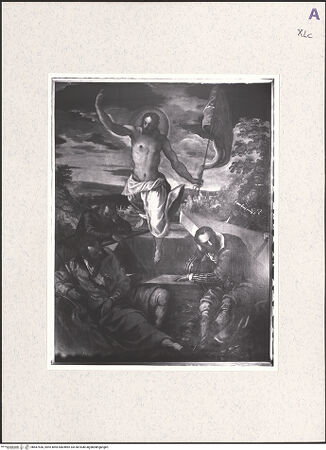 Vorderseite von bh487536_recto