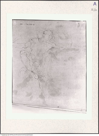 Vorderseite von bh487820_recto