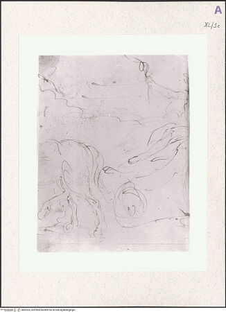 Vorderseite von bh487826_recto