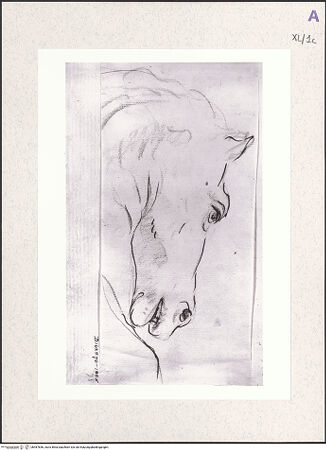 Vorderseite von bh487846_recto