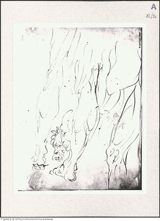 Vorderseite von bh487862_recto