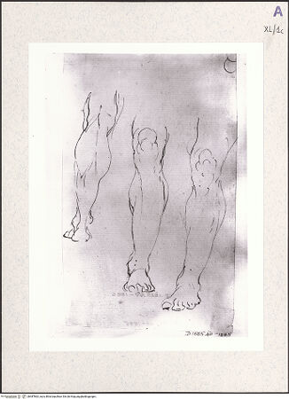 Vorderseite von bh487863_recto