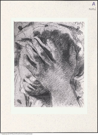 Vorderseite von bh487909_recto