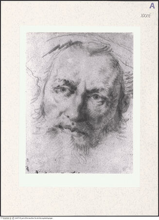 Vorderseite von bh487910_recto