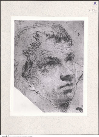 Vorderseite von bh487914_recto