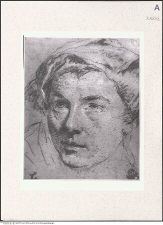 Vorderseite von bh487915_recto