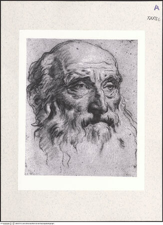 Vorderseite von bh487919_recto