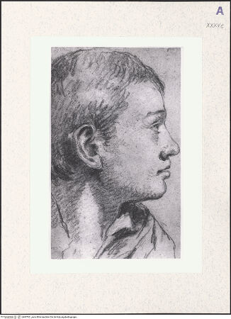 Vorderseite von bh487921_recto