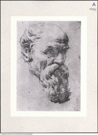 Vorderseite von bh487923_recto