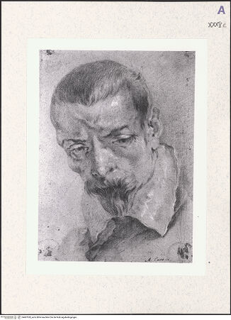 Vorderseite von bh487928_recto