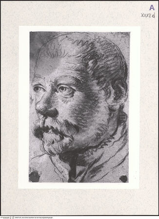 Vorderseite von bh487929_recto