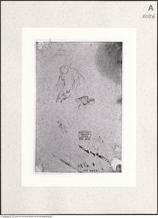 Vorderseite von bh487932_recto